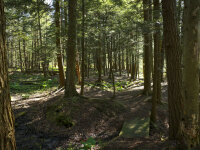 French Creek Preserve Trail