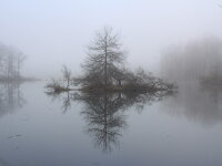 Audubon Community Nature Center big pond reflection