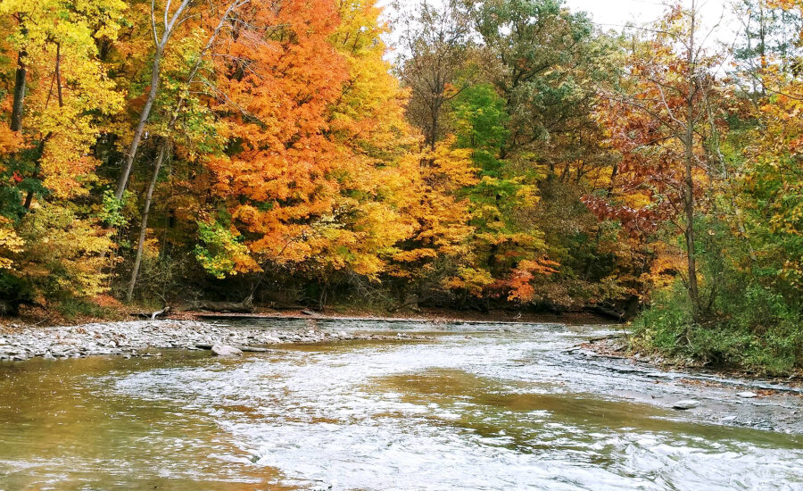 Chautauqua Watershed Conservancy, Lakewood, NY | Chautauqua County ...