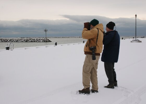 Lake Erie Snow