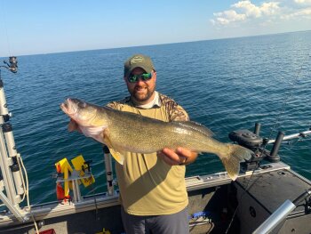 Lake Erie Walleye by Dave Figura