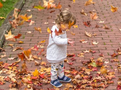 Little Girl Playing in Fall Leaves