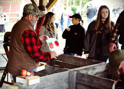 Busti Apple Festival