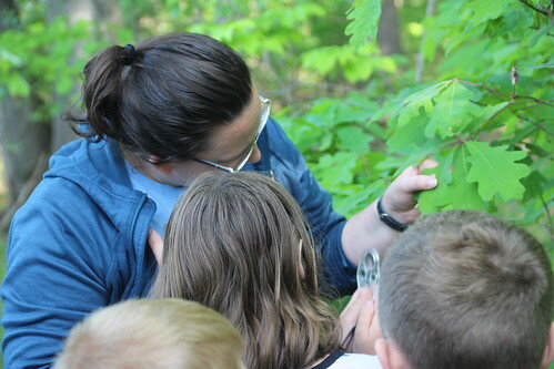 Audubon springtime adventure nature walk