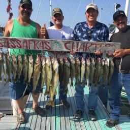 Sassafras Fishing Charters