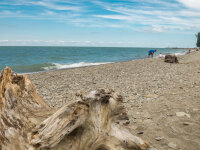 Barcelona Beach driftwood and people looking for beach glass