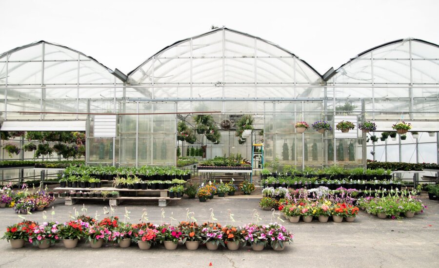 exterior greenhouse at Haff Acres Farm