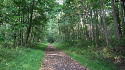 Chautauqua Rails to Trails