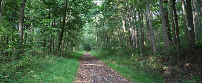 Chautauqua Rails to Trails