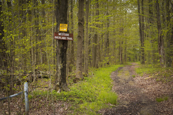 Photo of a entrance sign for westside overland trail.