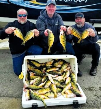 Rob Ebersole photo; Lake Erie yellow perch