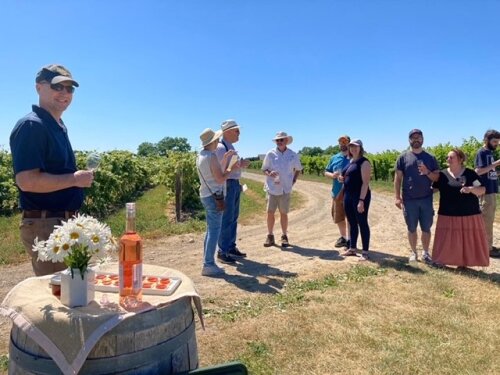 Johnson Estate Winery vineyard walk group