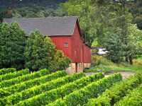 Johnson Estate, 1920's barn & vineyards, Amanda Bracy