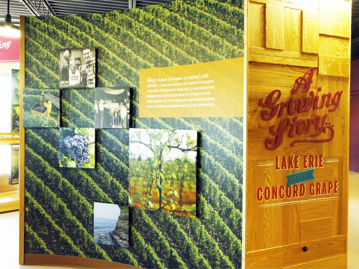 Grape Discovery Center Exhibit