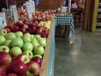 apples at Haff Acres Farm