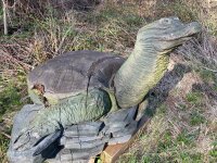 spiny softshell turtle sculpture