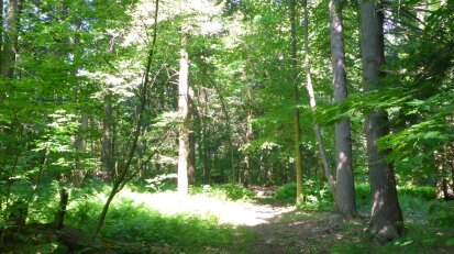 Chautauqua County Hiking Club