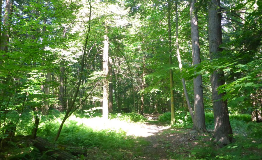 Chautauqua County Hiking Club