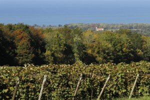 Vineyards and Lake Erie escarpment in America's Grape Country