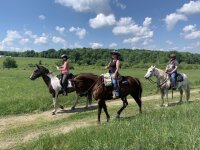 PFM House horseback riding