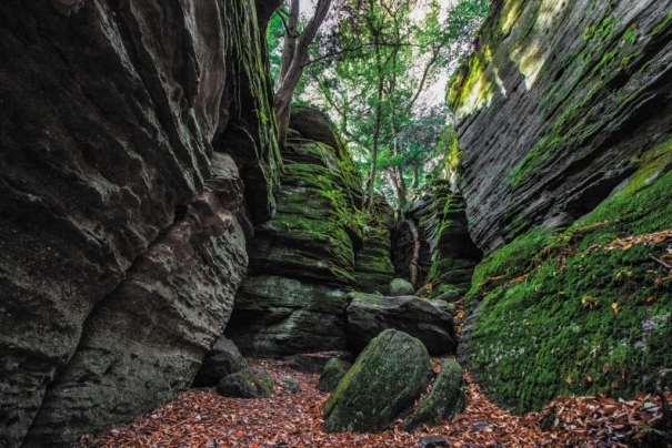 Scenic view of Panama Rocks Scenic Park featuring large rock formations