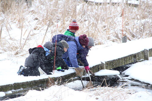 Audubon Little Explorers Winter Wetlands