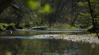 French Creek Preserve