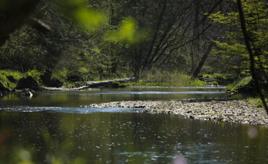 French Creek Preserve