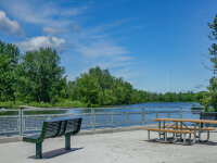 Riverwalk Benches and Picnic Table Trees