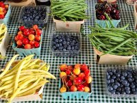 fresh produce display at Haff Acres Farm