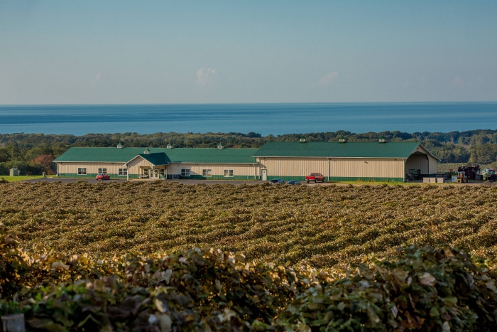 Noble Winery - Autumn Vineyards