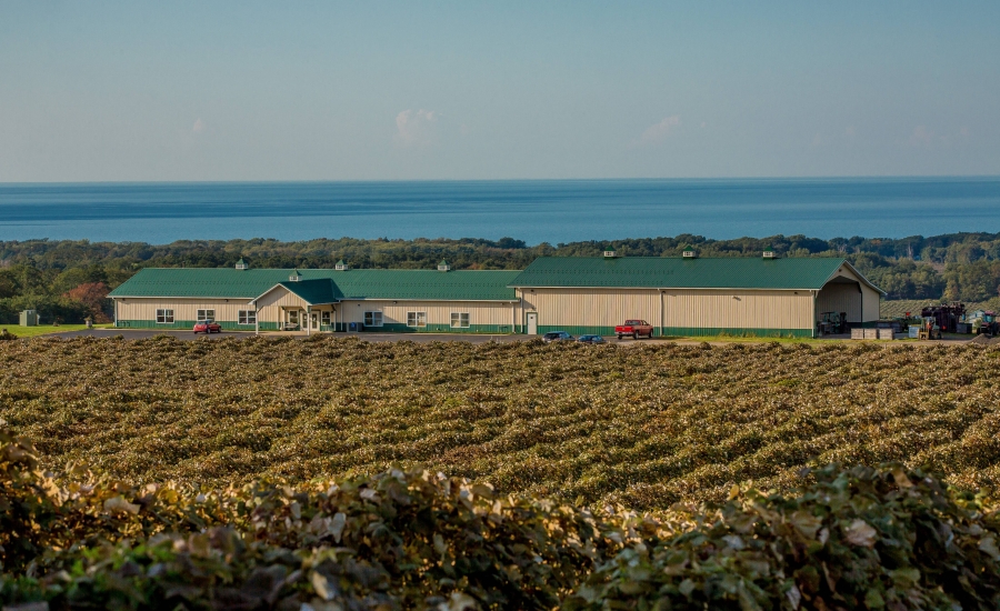 Noble Winery - Autumn Vineyards