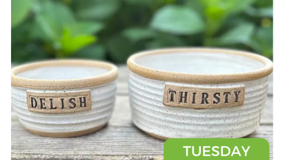 Pet Dishes Tuesday December 10