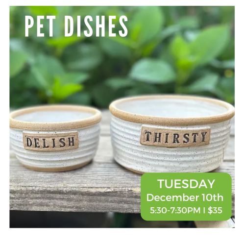 Pet Dishes Tuesday December 10