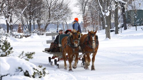 Sleigh Rides at Chautauqua